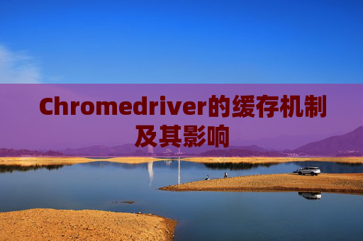 Chromedriver的缓存机制及其影响